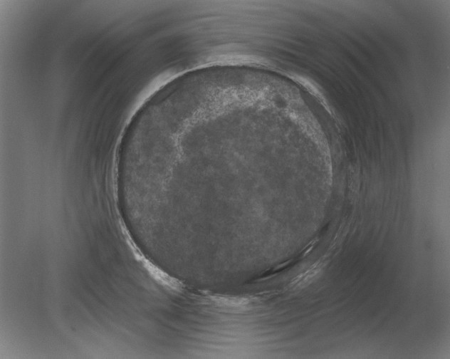 X0000080671046200701051003