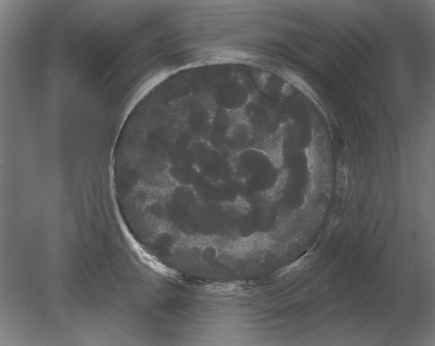 X0000080671047200701051003