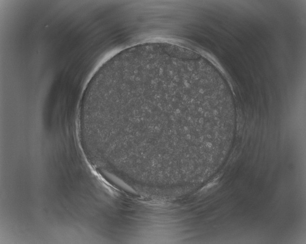 X0000080671048200701051003