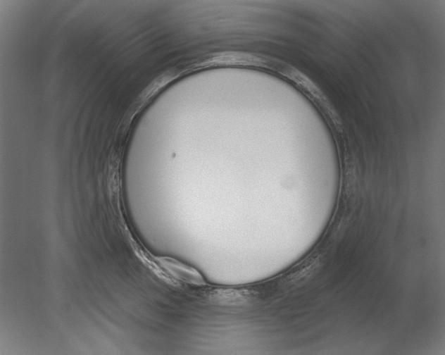 X0000080671049200701051003