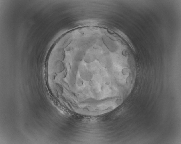 X0000080671051200701051003