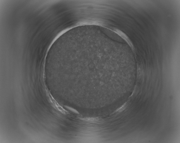 X0000080671052200701051003