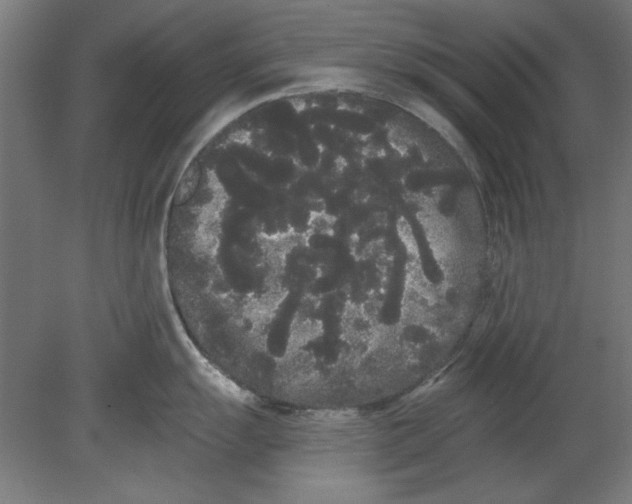 X0000080671055200701051003