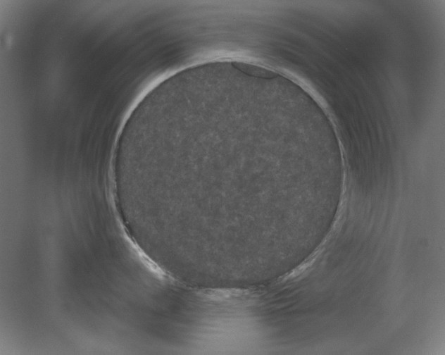 X0000080671056200701051003