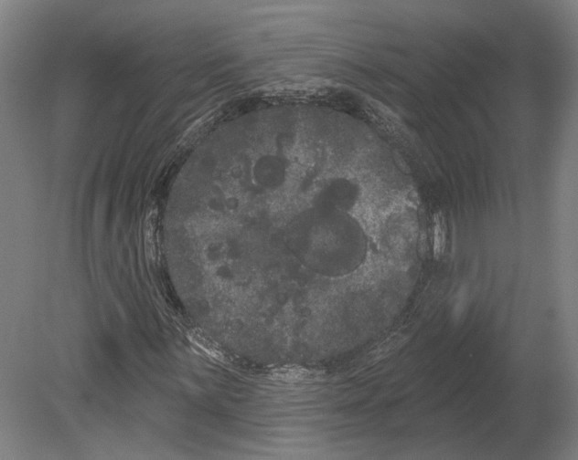 X0000080671059200701051003