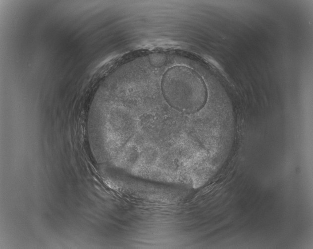 X0000080671063200701051002