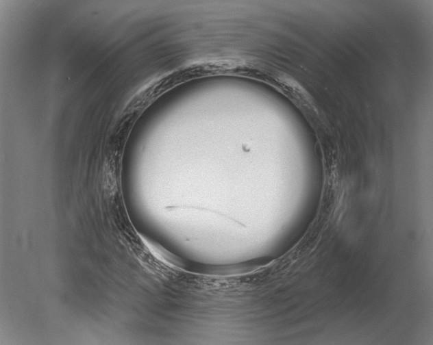 X0000080671064200701051002