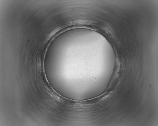 X0000080671065200701051002