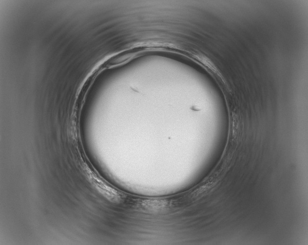 X0000080671068200701051002