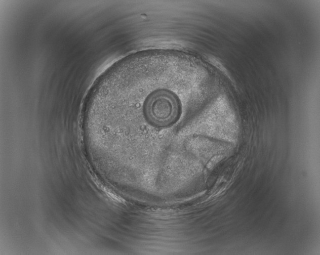 X0000080671071200701051002