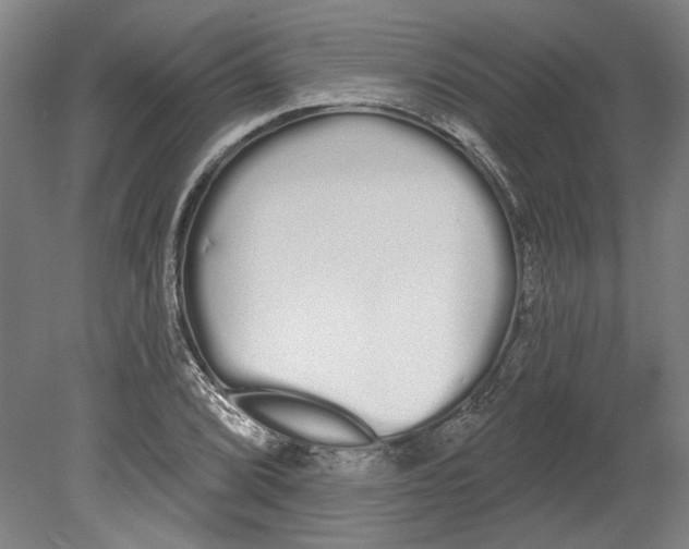 X0000080671072200701051002