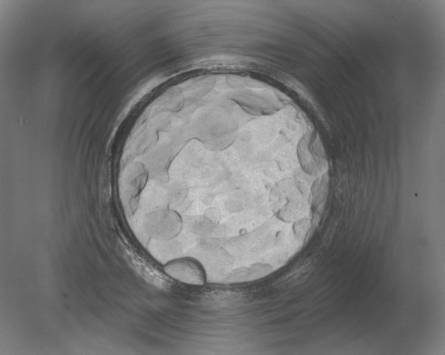 X0000080671075200701051002