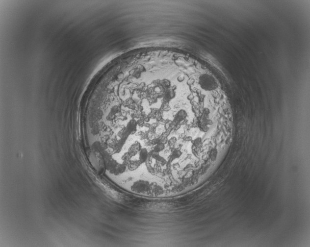 X0000080671079200701051002