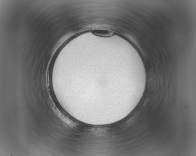 X0000080671082200701051002