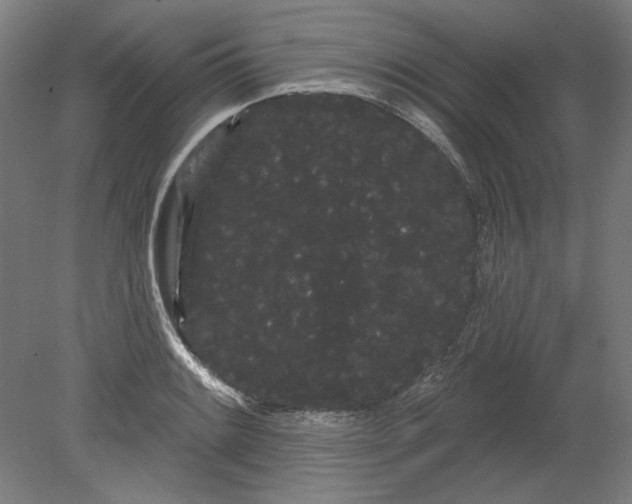 X0000080671084200701051002