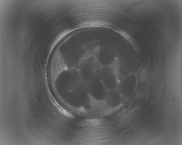 X0000080671086200701051002