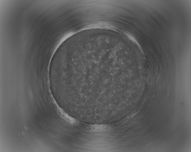 X0000080671087200701051002