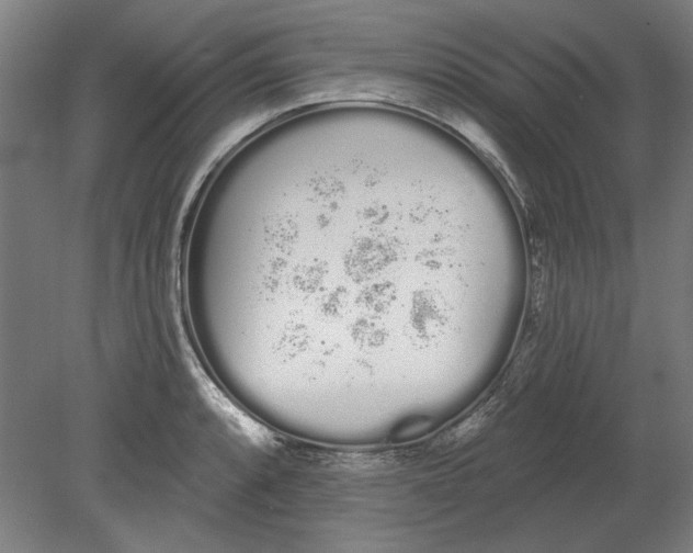 X0000080671088200701051002