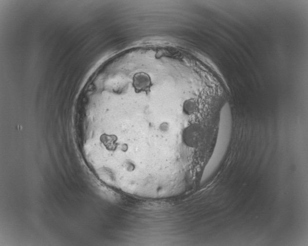 X0000080671091200701051002