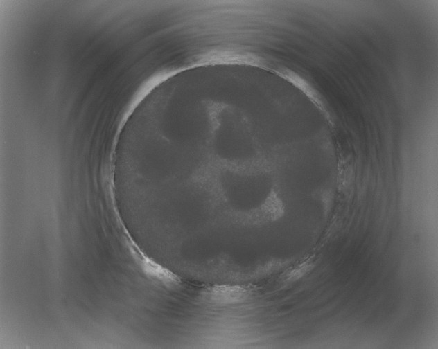 X0000080671094200701051002