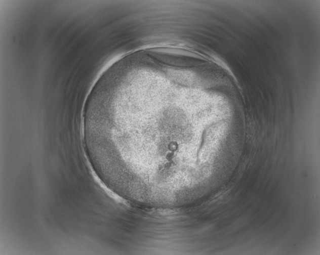 X0000080671095200701051002