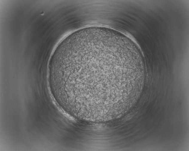 X0000080671096200701051002