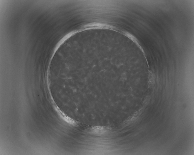 X0000080671098200701051002