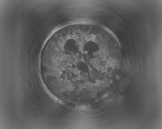 X0000080671099200701051002