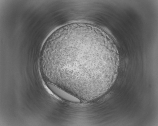 X0000080671100200701051002