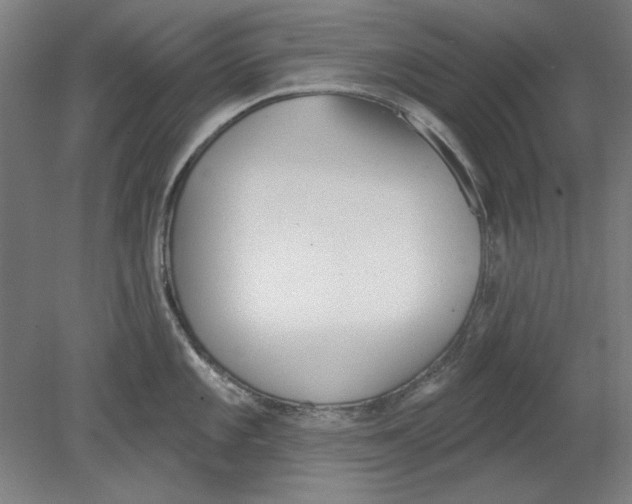 X0000080671101200701051002