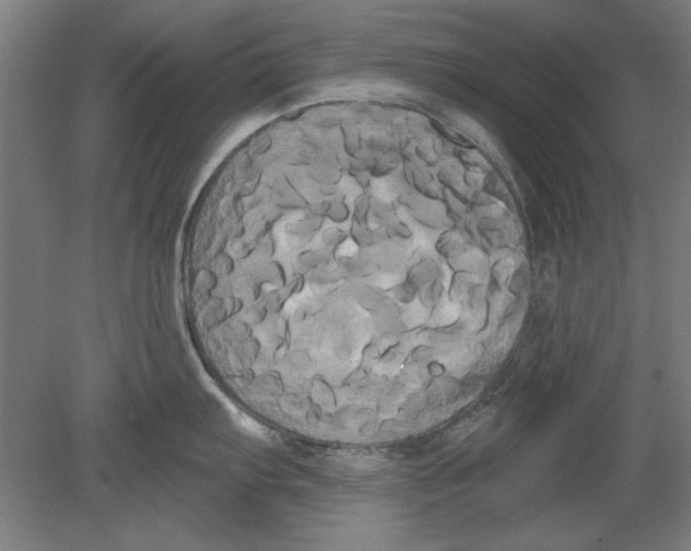 X0000080671103200701051002