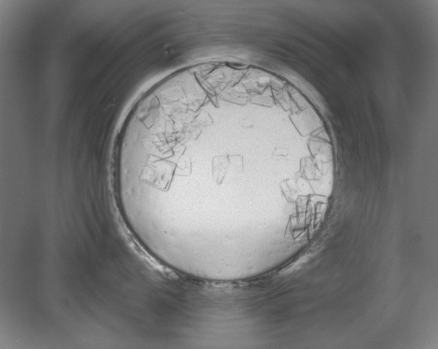 X0000080671104200701051002