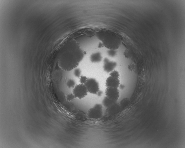 X0000080671110200701051001