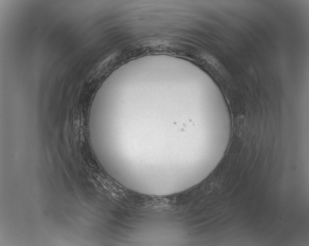 X0000080671111200701051001