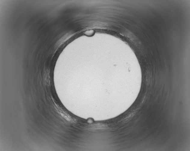 X0000080671113200701051001