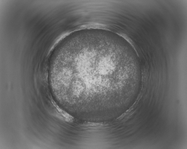 X0000080671115200701051001