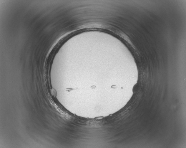 X0000080671116200701051001