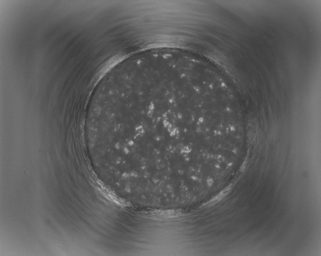 X0000080671121200701051001