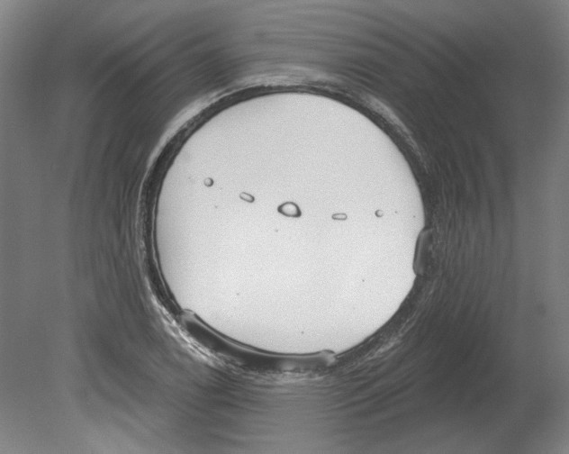 X0000080671122200701051001