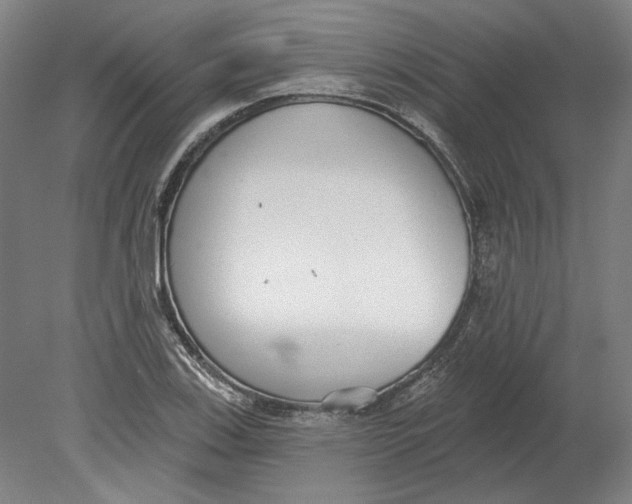 X0000080671123200701051001