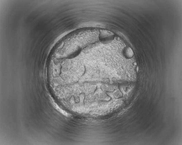 X0000080671125200701051001