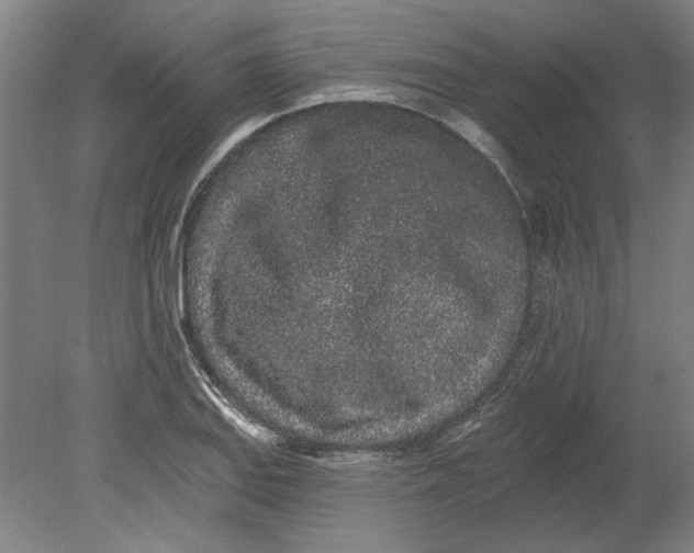 X0000080671127200701051001