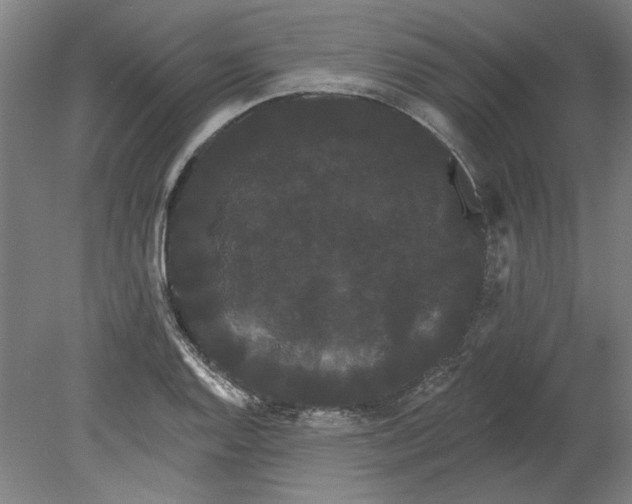 X0000080671128200701051001