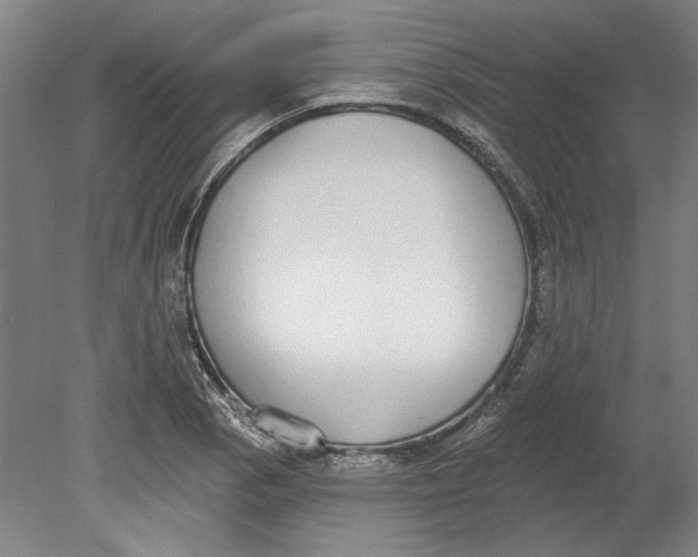 X0000080671129200701051001