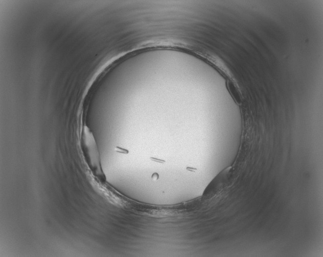 X0000080671132200701051001