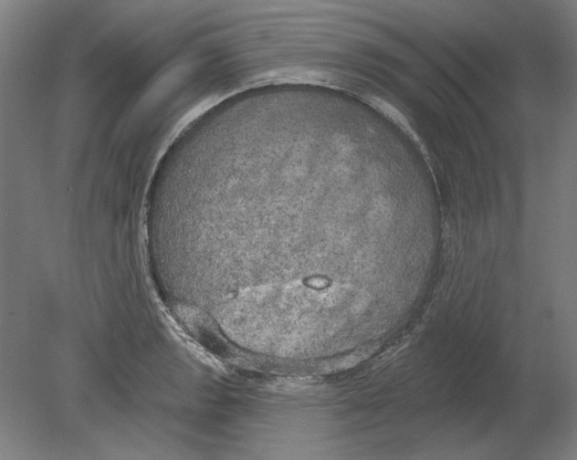 X0000080671133200701051001