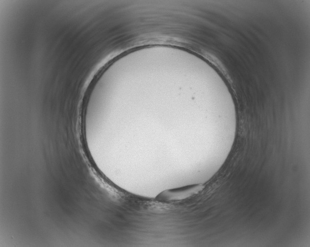 X0000080671136200701051001