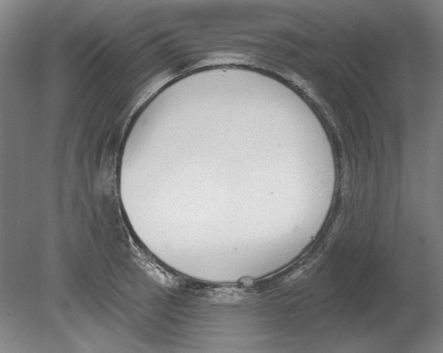 X0000080671137200701051001