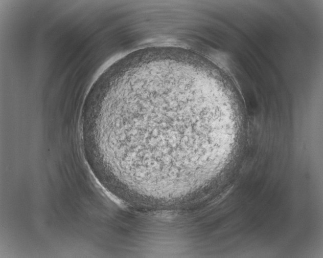 X0000080671141200701051002