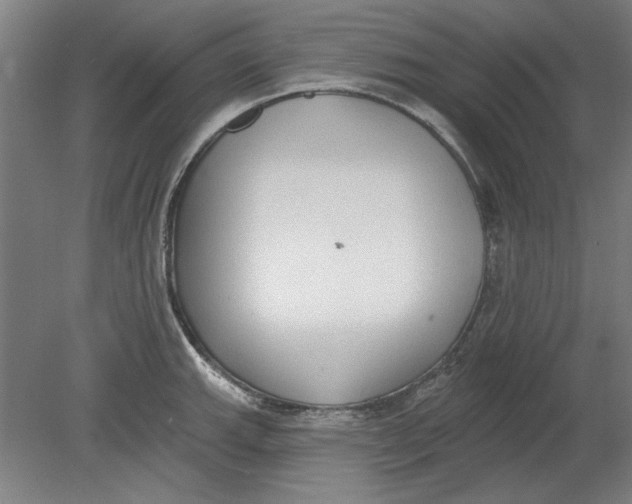 X0000080671143200701051002